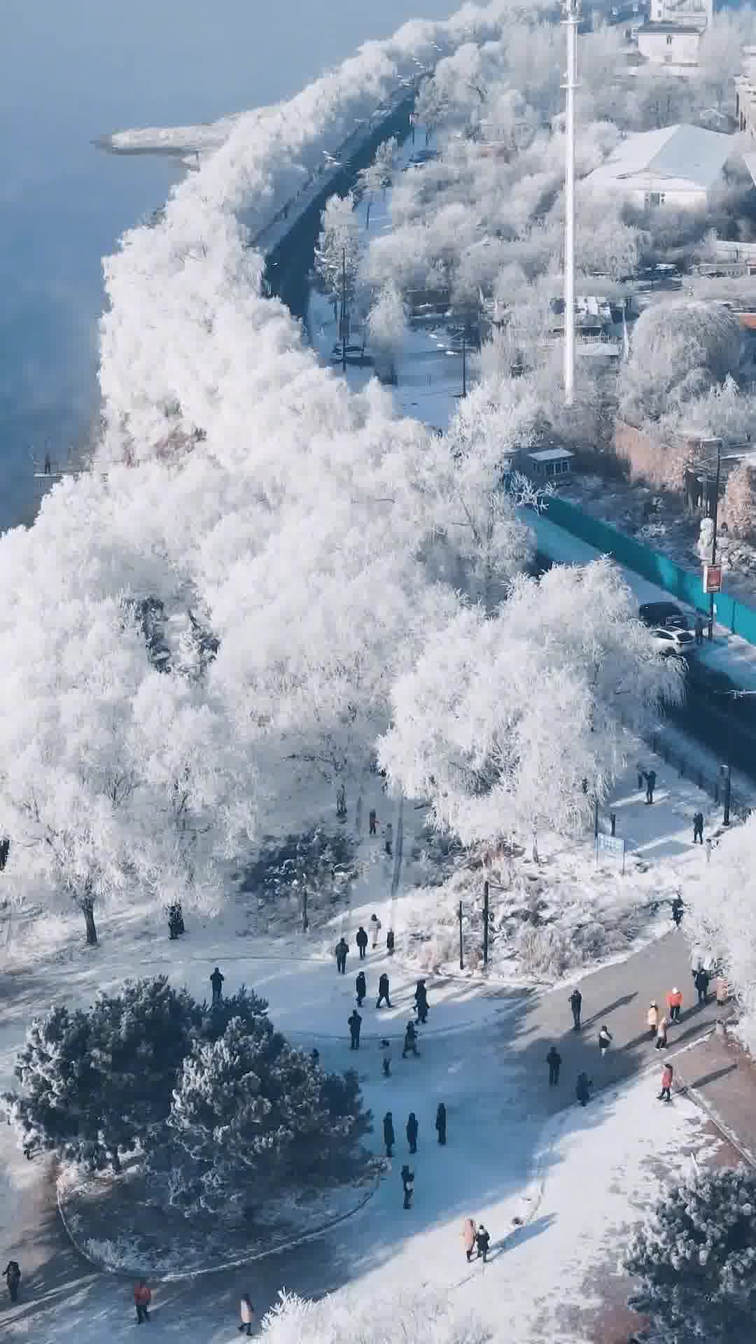 吉林行吟，踏寻东北风情之旅