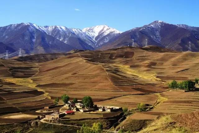 甘肃暖阳映照下的友谊之光