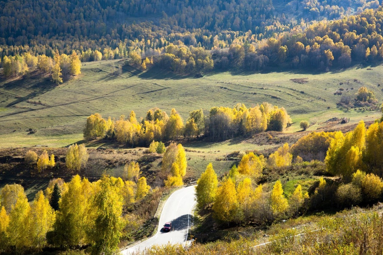 新疆，多元文化交融的和谐发展典范