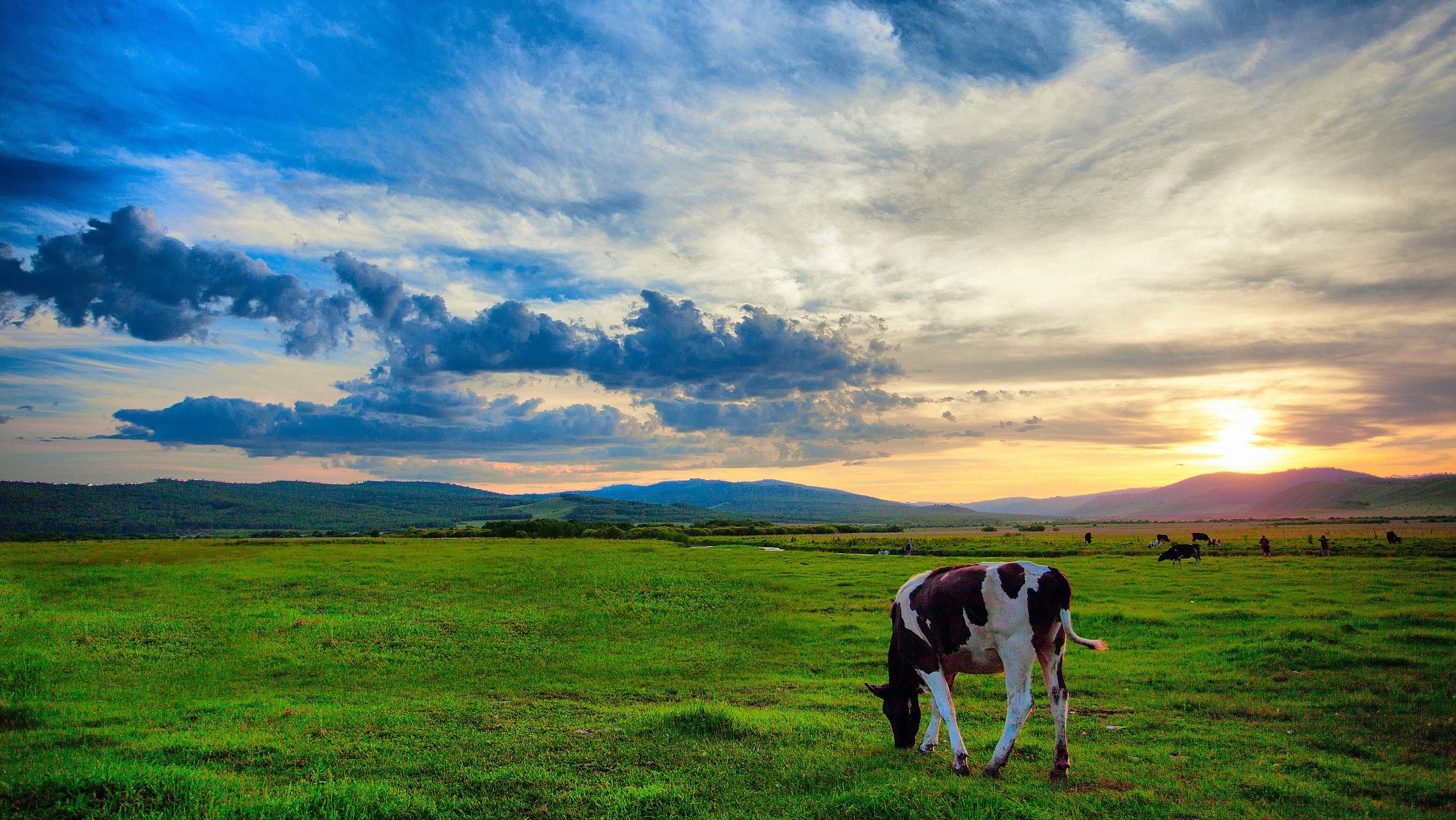 呼伦贝尔，地域文化与自然风光的璀璨交融展现