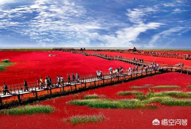 盘锦，湿地之都，自然与人文和谐交响之旅